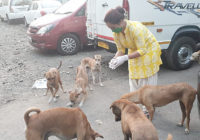 ‘ये रिश्ते है प्यार के’ की निधि मामी यानिकि संगीता कपूरे ने मानवता की एक मिसाल की कायम ‘ये रिश्ते है प्यार के’ की निधि मामी यानिकि संगीता कपूरे ने मानवता की एक मिसाल की कायम