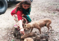 उर्वशी रौतेला ने लॉकडाउन के बीच भूखे आवारा जानवरों के दुःख को समझा