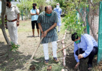 पर्यावरण दिवस पर औषधीय पौधों का रोपण