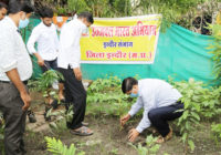 उज्ज्वल भारत अभियान के अन्तर्गत औषधीय पौधों का रोपण कर्यक्रम सम्पन्न