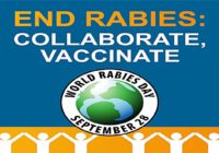 World Rabies Day: Rabies killed more people in India in the last 5 years than COVID-19