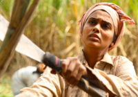Bittersweet now in Kolkata International film festival ! Bittersweet now in Kolkata International film festival !