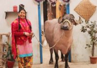 एण्डटीवी के ‘गुड़िया हमारी सभी पे भारी‘ में खास मेहमान बसंती की एंट्री एण्डटीवी के ‘गुड़िया हमारी सभी पे भारी‘ में खास मेहमान बसंती की एंट्री