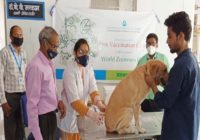 Indian Immunologicals administers 1 Lac FREE dosages of Anti-rabies vaccine on World Zoonosis Day 2021
