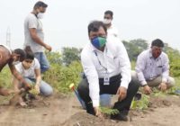 ब्लू डार्ट ने विश्व हाथी दिवस पर झारखंड के दलमा वन्यजीव अभयारण्य में हाथियों के लिए 1,00,000 से अधिक पेड़ लगाए