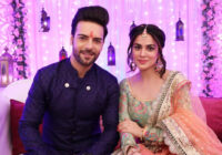 Sanjay Gagnani Gets Slapped For By THIS Kundali Bhagya Co-Star