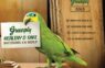 “Har Zarurat Ka Reply”: Greenply’s Humorous Campaign Highlights Healthy and Safe Interiors with India’s first bird influencer