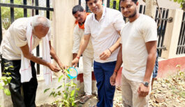 जल, जीवन और जमीन के संरक्षण के लिए वृक्षारोपण आवश्यक : डॉ. ए.के. द्विवेदी