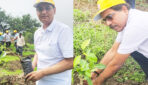क्रसुला फार्मास्युटिकल्स ने देवगुराडिया में ‘पल्लव आरोग्य वन’ का किया निर्माण; हरित और स्वस्थ भविष्य के लिए लगाए 500 पौधे