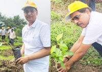 क्रसुला फार्मास्युटिकल्स ने देवगुराडिया में ‘पल्लव आरोग्य वन’ का किया निर्माण; हरित और स्वस्थ भविष्य के लिए लगाए 500 पौधे