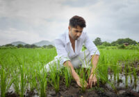 Varun Dhawan Turns Investor for Better Nutrition, Turns His New Farm Biofortified with Better Nutrition Varun Dhawan Turns Investor for Better Nutrition, Turns His New Farm Biofortified with Better Nutrition